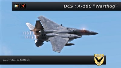 DCS-A-10C11b.jpg