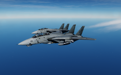 Tomcat_01.png